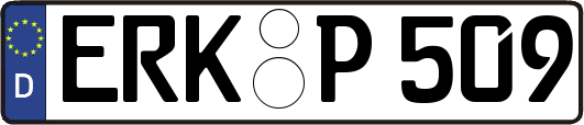 ERK-P509