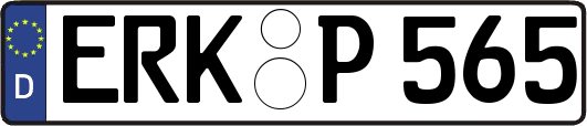 ERK-P565
