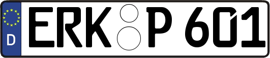 ERK-P601