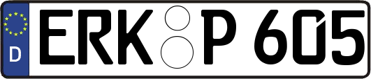 ERK-P605