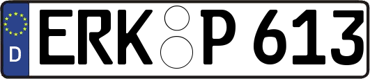 ERK-P613