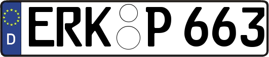 ERK-P663