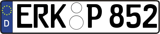 ERK-P852