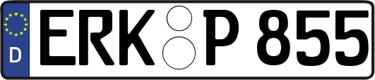 ERK-P855
