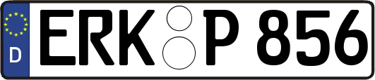 ERK-P856