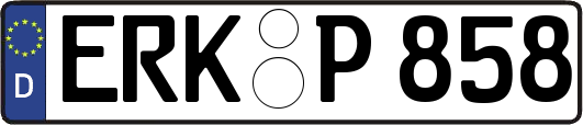 ERK-P858