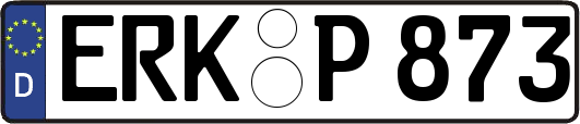 ERK-P873
