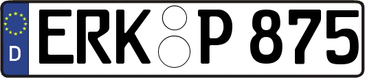ERK-P875