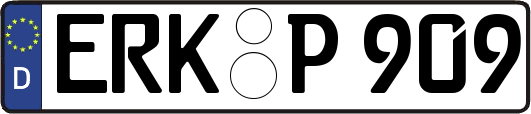 ERK-P909