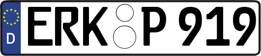 ERK-P919