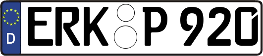 ERK-P920