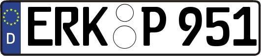 ERK-P951