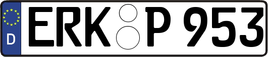 ERK-P953
