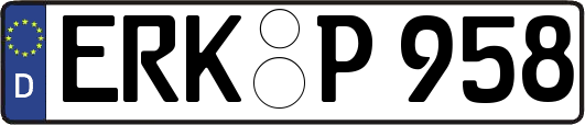 ERK-P958