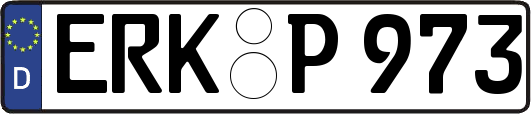 ERK-P973