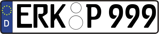 ERK-P999