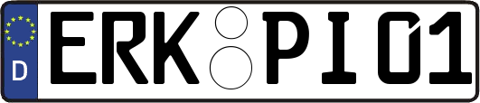 ERK-PI01