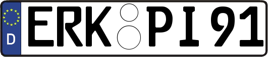 ERK-PI91