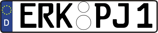 ERK-PJ1