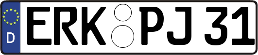 ERK-PJ31