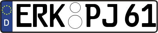 ERK-PJ61