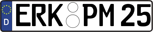 ERK-PM25