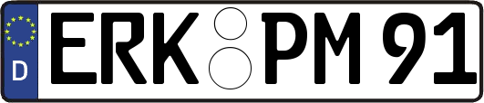 ERK-PM91