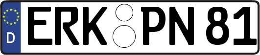 ERK-PN81