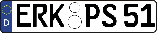 ERK-PS51