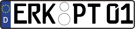 ERK-PT01