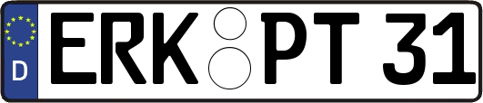 ERK-PT31