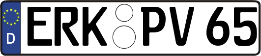 ERK-PV65