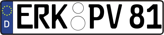 ERK-PV81