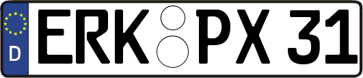 ERK-PX31