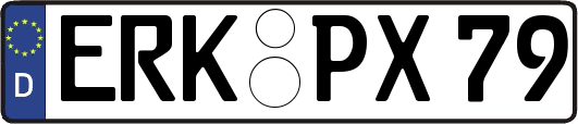 ERK-PX79