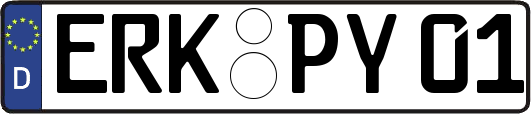ERK-PY01