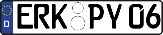 ERK-PY06