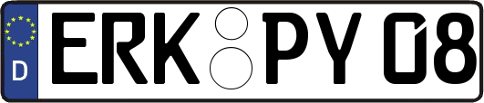 ERK-PY08