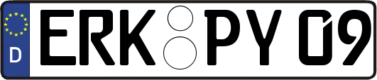 ERK-PY09
