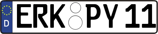 ERK-PY11