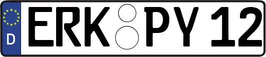 ERK-PY12