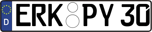 ERK-PY30