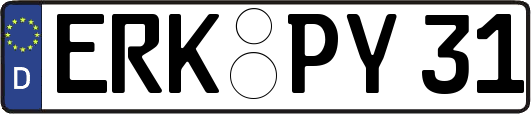 ERK-PY31