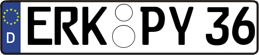 ERK-PY36