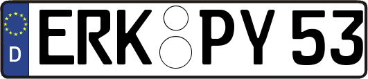 ERK-PY53