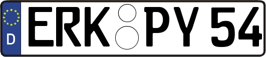 ERK-PY54