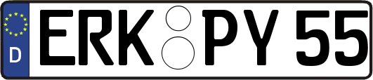 ERK-PY55
