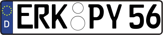 ERK-PY56