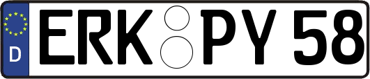 ERK-PY58