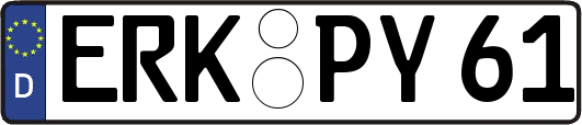 ERK-PY61